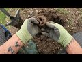 Metal Detecting Canada South of the St  Lawrence Part 2 |  Coppers, Relics and a REALLY Old Church!