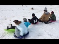 Sled Day