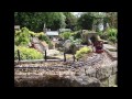 Mark Found   The Garden Railway   Prog 7   track Laying