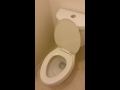 Newly installed Glacier Bay dual flush toilet