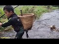 Fish catching skills, the orphan boy khai makes a casuarina tree to stab stream carp to sell