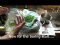 Season 2 Premiere: How to Blanch and Freeze Peas for Storage