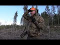 Älgjakt - Jakt på älg med hund - Moose Hunting in Sweden.