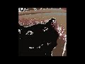 Smiling cat meme (pixel speed paint)