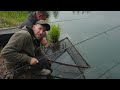 The lake's FIRST 50lb Carp?! 🐋 Lewis Porter | Carp Fishing