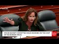 MUST WATCH: Lisa McClain Goes Head To Head With Liberal Witness: ‘You Have No Facts!’