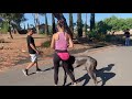 Watch as I coach a client through her 100lb dog's leash reactivity.