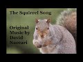 The Squirrel Song by David Naccari