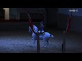 Spanish Riding School Haute Ecole (Airs Above The Ground) White Lipizzaner Stallions