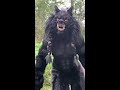 Dogs react to huge Werewolf costume!