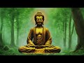 Buddha  Flute Music in forest for Meditation and zen