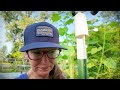 My Morning on the Homestead | Tour & Harvest | VLOG