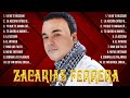 Las mejores canciones del álbum completo de Zacarias Ferrera 2024