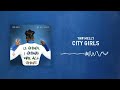 YNW Melly - City Girls [Official Audio]