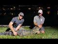 ALLIGATOR RESCUE WITH PAUL FROM GATORBOYS