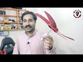 How To Make Free Energy From Beleno Motor At Home | kia baleno motor sy waqai bijli banti ha ya nhe