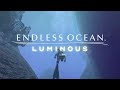 Endless Ocean Luminous REACTION!