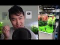 TikTok Fish Tanks BUT IT'S GOOD | Fish Tank Review 233