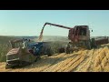 Cutting the hills together! - Grain Hogs S0207