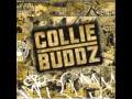 Collie Buddz - [Collie Buddz ] Come Around HQ