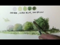 How to paint trees & bushes in watercolor lessons by Dennis Clark