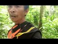 MELIHAT KEBUN GETAH YANG TERBIAR