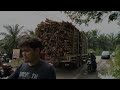 Gokil | Full Truk Batubara & Sawit Oleng Warga Geram Mancing Dikubangan Jalan