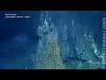 Hydrothermal vents in the deep sea