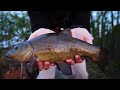 Feeder Fishing Bream - Suprise Catch (CLOSE TO NATIONAL BEST 2.02kg/4.45lbs gibel carp)