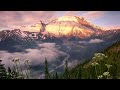 1 Hour of Amazing Nature Scenery 🌿🍀Relaxing Music for Stress Relief
