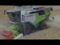 ☆ 🇵🇱Claas Trion w akcji☆Żniwa Pszenicy 2024 w GR.Treszczotko🇵🇱 ☆Claas&Valtra☆Oporowo☆TheMikiTeam