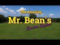 Mr Bean Canine Capers Intro