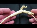 Ginseng Plant How to determine the age