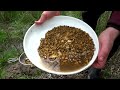 Nearly! 70 Kilograms of Gold Nugget; Huge Actually