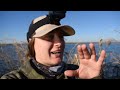 Louisiana Public Land Diver Duck Hunt (MOST I’VE EVER SEEN)