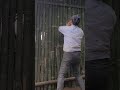 Single mother - completing the house wall with bamboo - building a new life #how #bamboo #ly