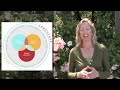 Strozzi Institute: Somatic Transformation with Staci K  Haines