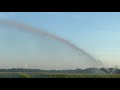 Nelson p200 irrigating corn