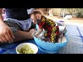New taste !! Mom Training Little Baby Monkey Dody To Eat Avocado Fruit First Time