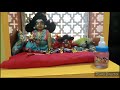Gopal Er Nutan Singhasan Kemon Holo Bolo || Daily vlog || Bangla Vlog || @TradiSwad  ||