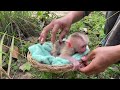 [Heart-Warming] NB Baby Monkey Compact Sleep In Basket Hammock