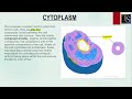 HUMAN CELL Live class | Structure of human cell in hindi | Organelles of human cell in hindi