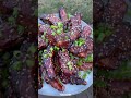 Fried Sticky Ribs Recipe | Over The Fire Cooking by Derek Wolf