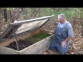 Propagating Emerald Green Arborvitae from Cuttings