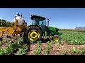 Como Cultivamos el Sorgo ?( John Deere 6603 )