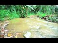 The sound of flowing water, birds chirping, calming nature sounds, relaxation, ASMR