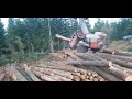 logmax, logging