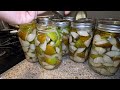 Canning Fresh PEARS | Water Bath Canning | EASY Syrup