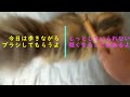 Hitomi the Persian cat is being brushed with three different types of brushes while walking around.