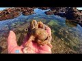 Making A Saltwater Beach Pond With Exotic Sea Creatures